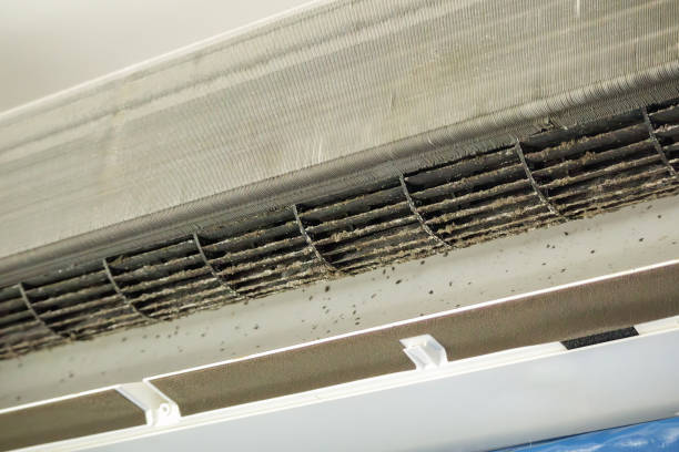 Best Local Air Duct Cleaning Services  in San Miguel, CA